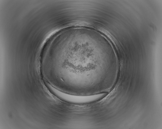 X0000112761115200908271614