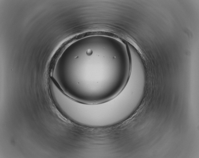 X0000112761116200908271614