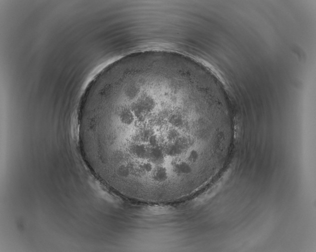 X0000112761117200908271614