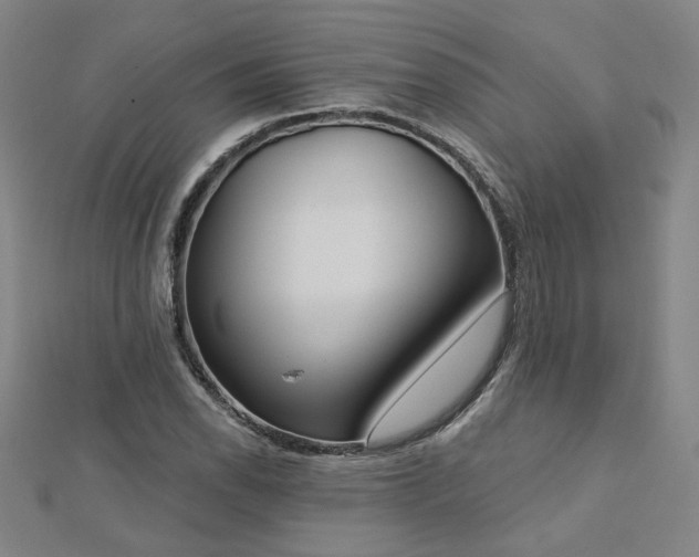 X0000112761118200908271614