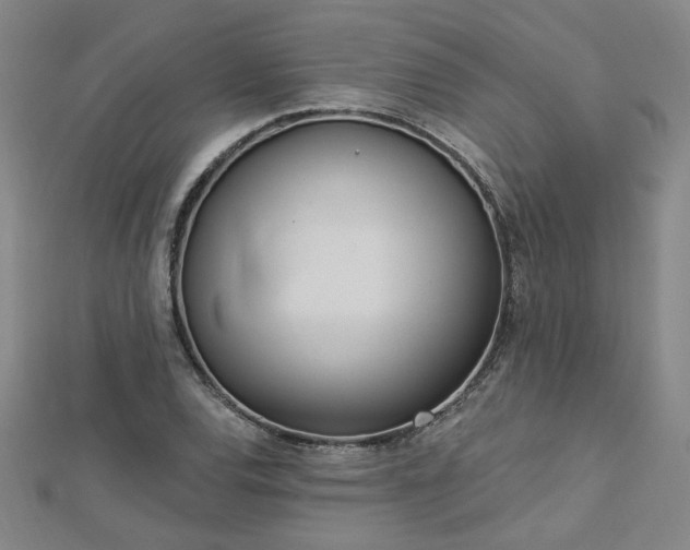 X0000112761120200908271614