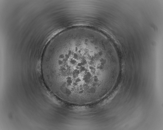 X0000112761121200908271614