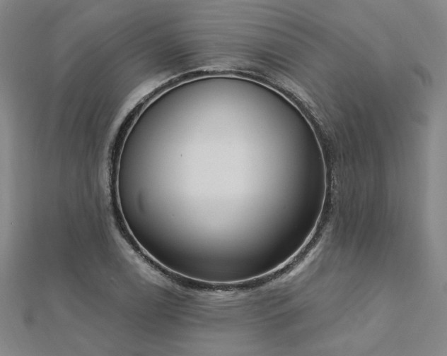 X0000112761122200908271614