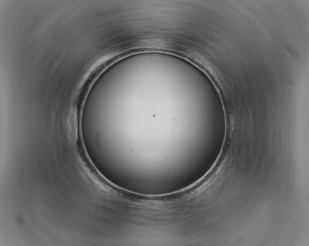 X0000112761123200908271614