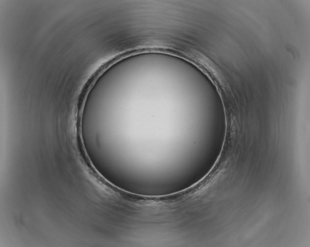 X0000112761124200908271614