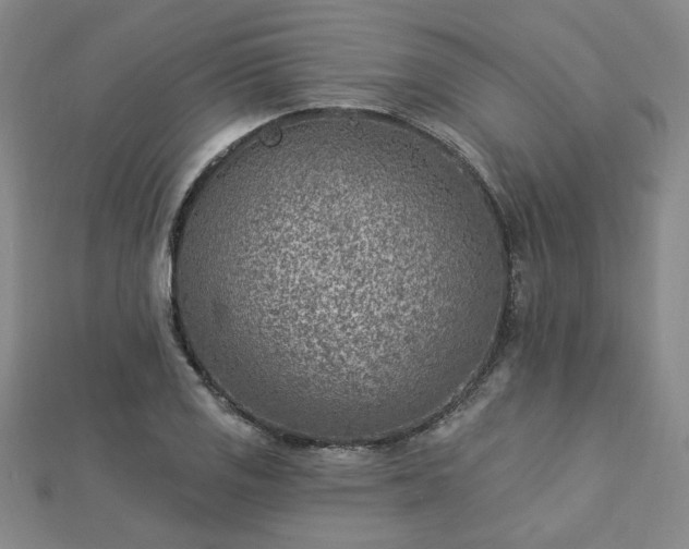 X0000112761125200908271614