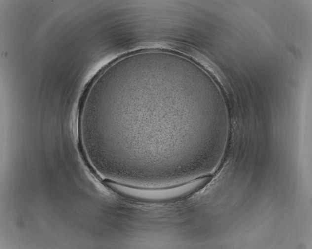X0000112761127200908271614