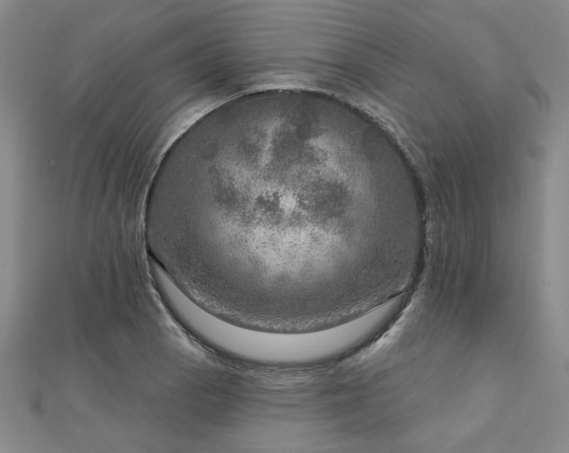 X0000112761129200908271614