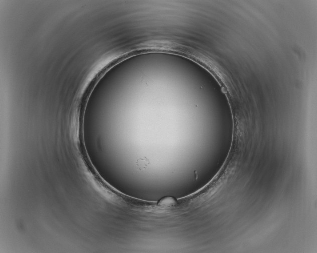 X0000112761131200908271614