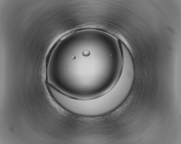 X0000112761132200908271614