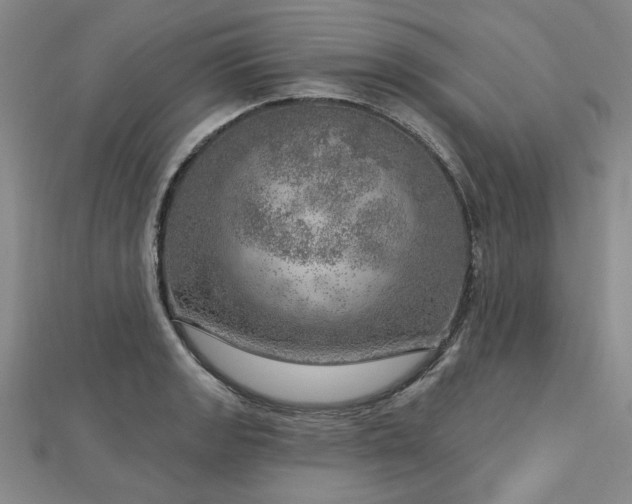 X0000112761133200908271614
