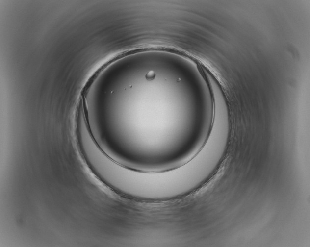 X0000112761134200908271614