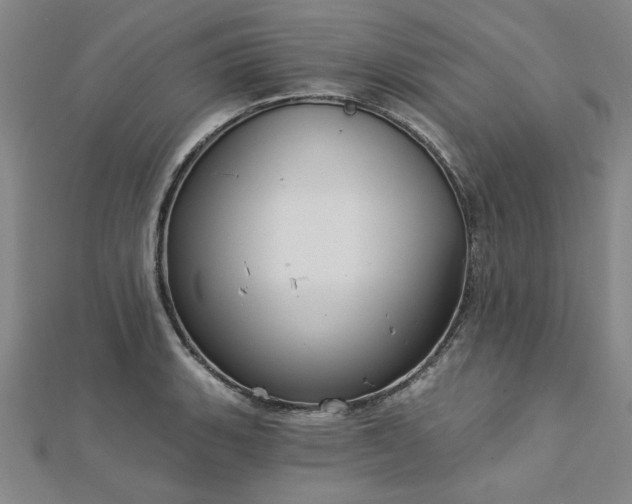 X0000112761135200908271614
