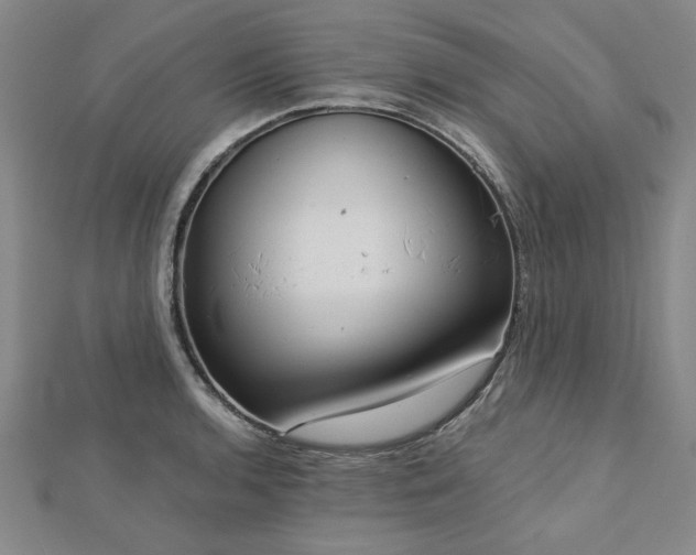 X0000112761136200908271614