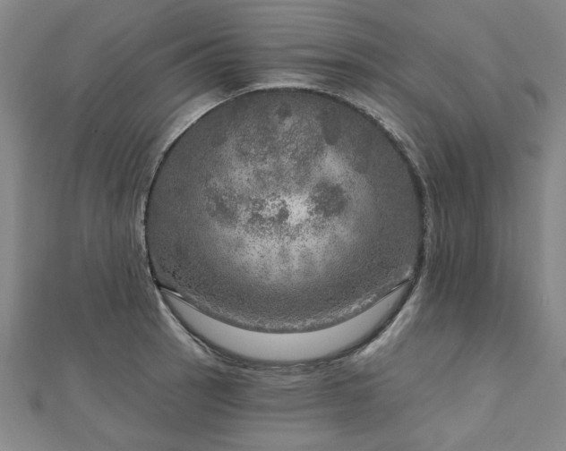 X0000112761137200908271614