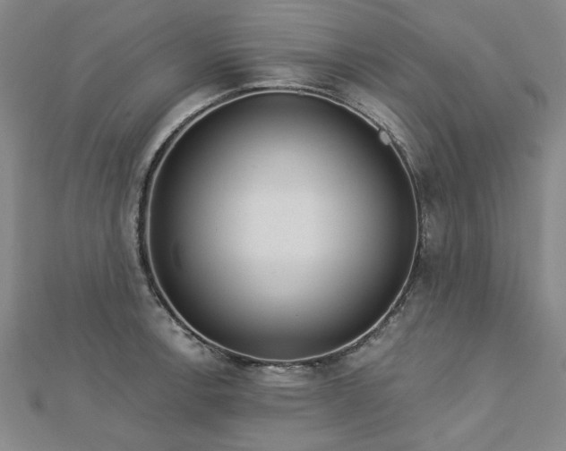 X0000112761138200908271614