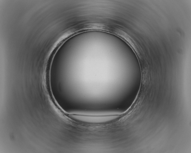 X0000112761139200908271614