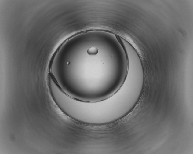X0000112761140200908271614