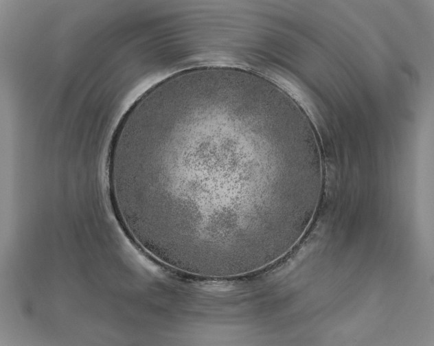 X0000112761141200908271614