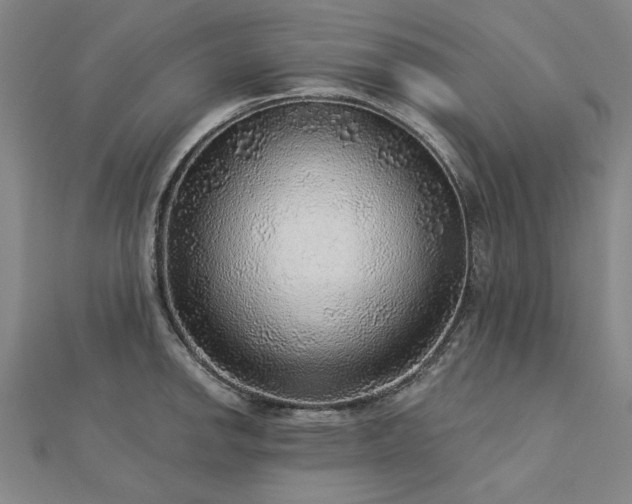X0000112761142200908271614