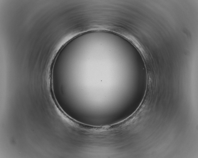 X0000112761143200908271614
