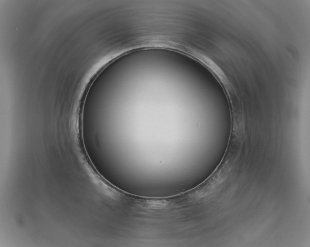 X0000112761144200908271614