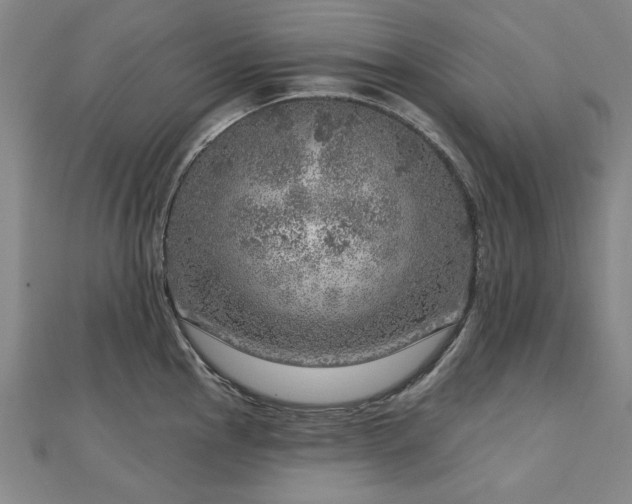X0000112761145200908271614