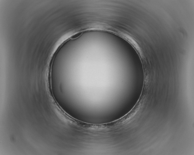 X0000112761146200908271614