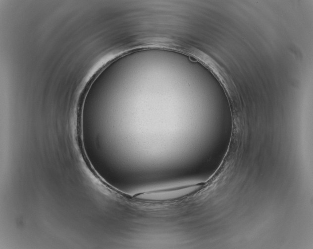 X0000112761147200908271614