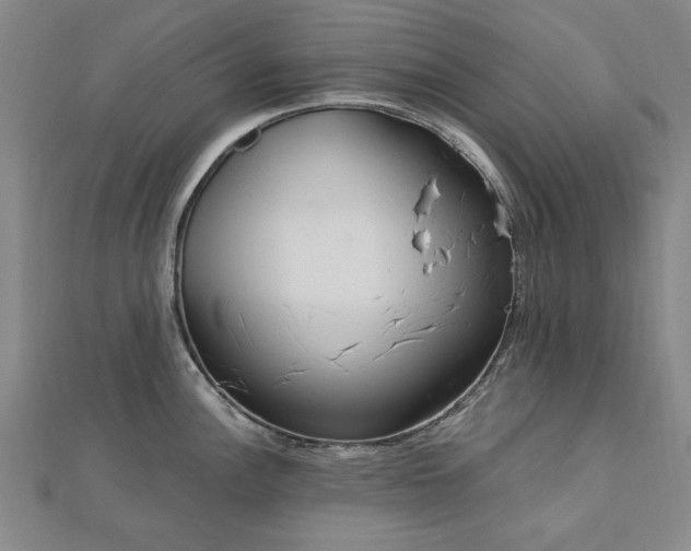X0000112761148200908271614