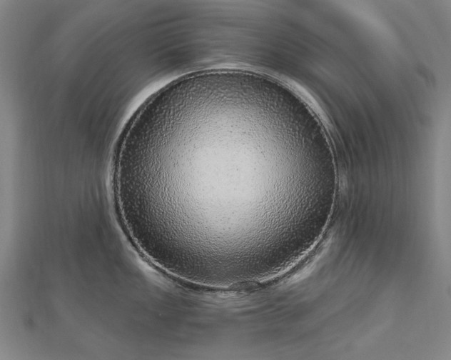 X0000112761149200908271614