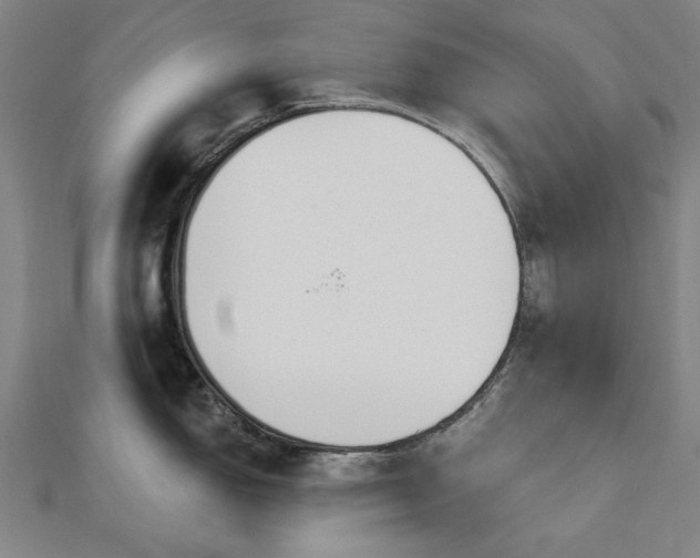 X0000112761150200908271614