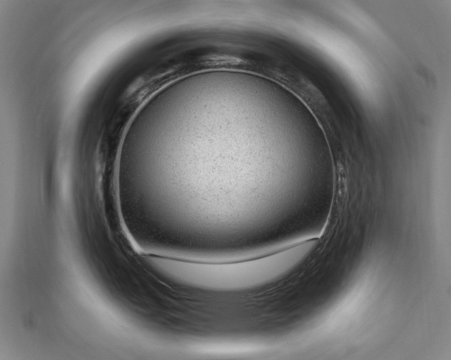 X0000112761151200908271614