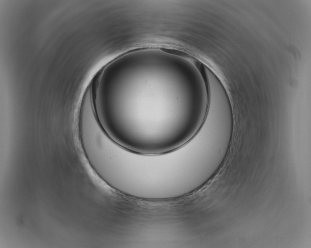 X0000112761152200908271614