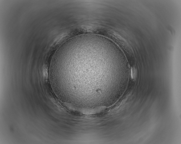 X0000112761155200908271613