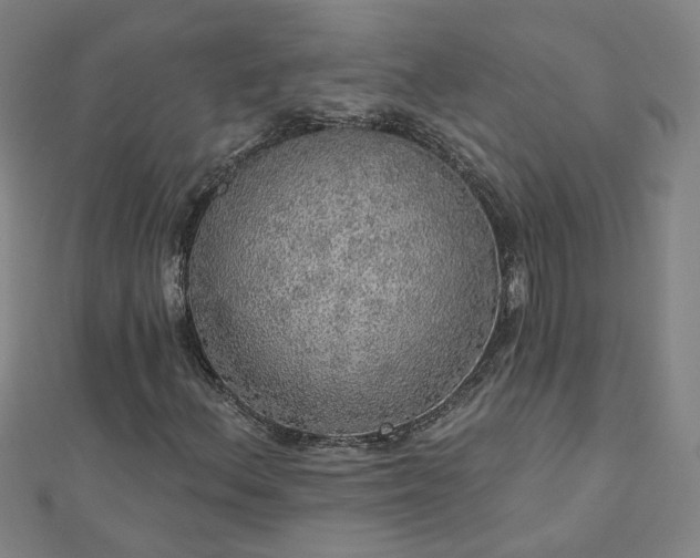 X0000112761156200908271613