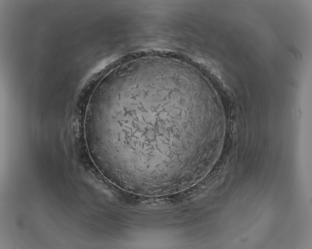 X0000112761159200908271613