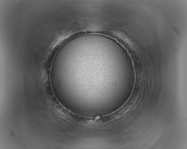 X0000112761160200908271613