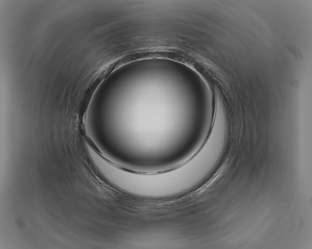 X0000112761161200908271613