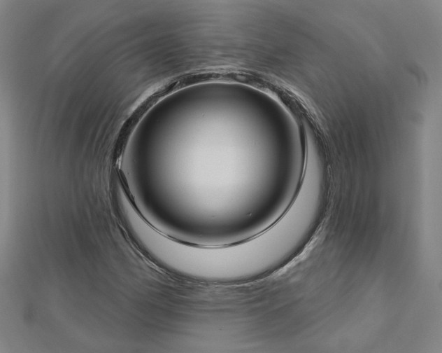 X0000112761162200908271613