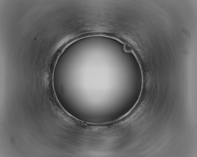 X0000112761163200908271613