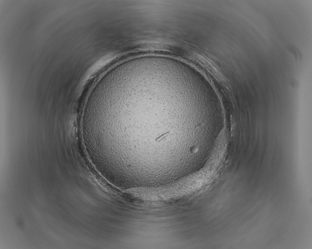X0000112761164200908271613