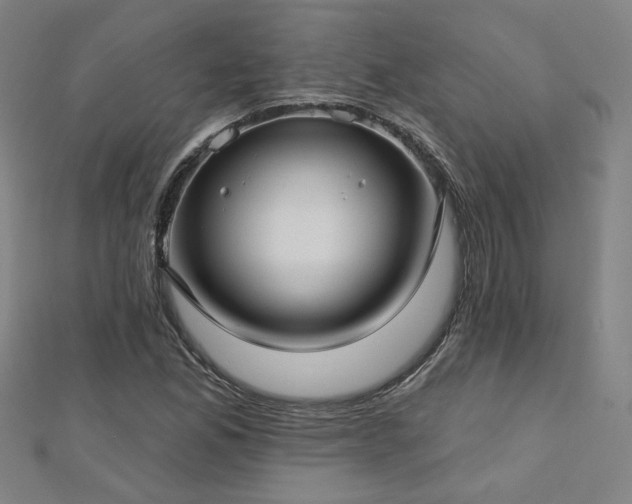 X0000112761165200908271613