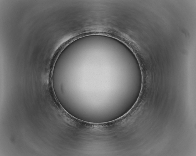 X0000112761166200908271613