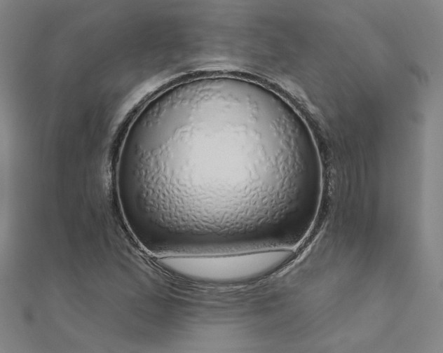 X0000112761167200908271613