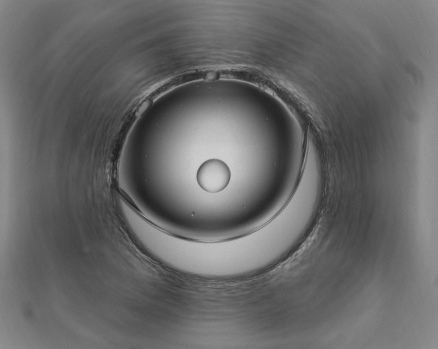 X0000112761169200908271613