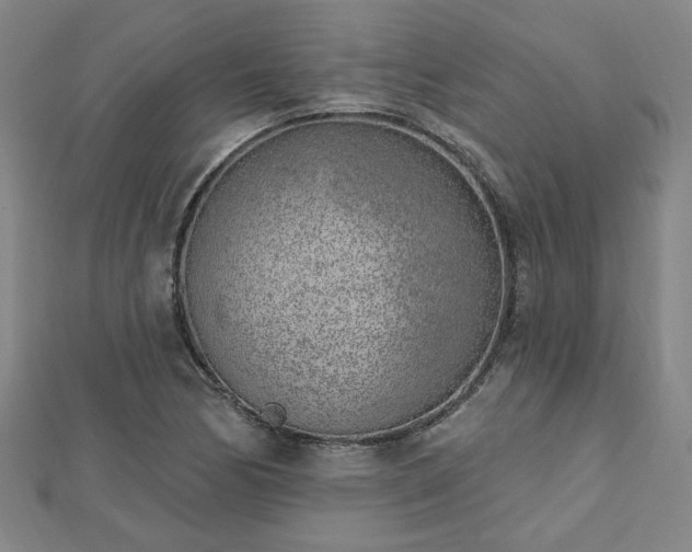 X0000112761170200908271613
