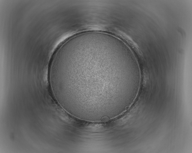 X0000112761174200908271613