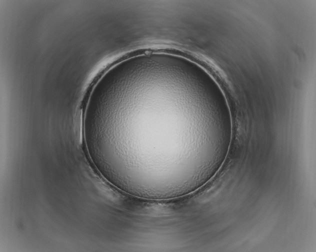 X0000112761175200908271613