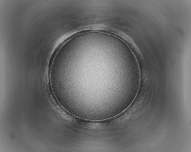 X0000112761176200908271613